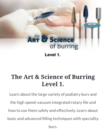 Art & Science Of Burring - Level 1 On-Demand Online Training