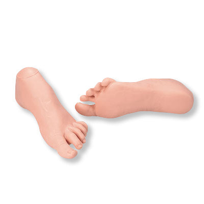 Foot Care Teaching Kit - Normal Foot Model