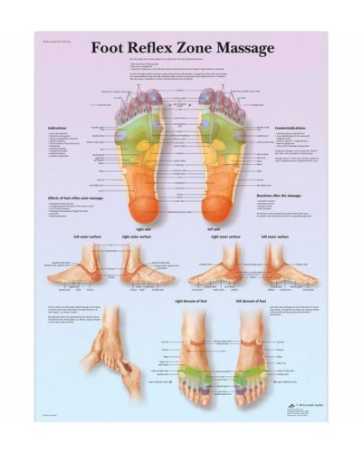 Foot Reflex Zone - Laminated